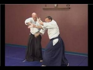 advanced aikido